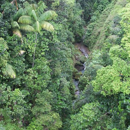 Roxys Mountain Lodge Laudat Luaran gambar