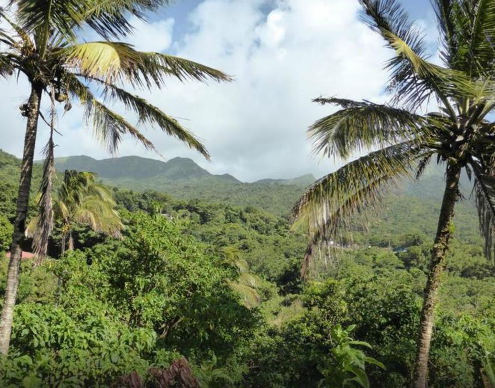 Roxys Mountain Lodge Laudat Luaran gambar
